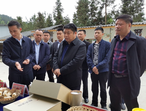石阡:奏响为民务实"九部交响"