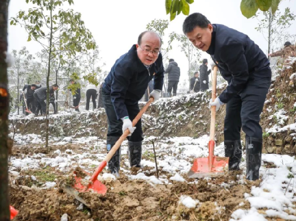 毕节市与全省同步开展2022年义务植树活动