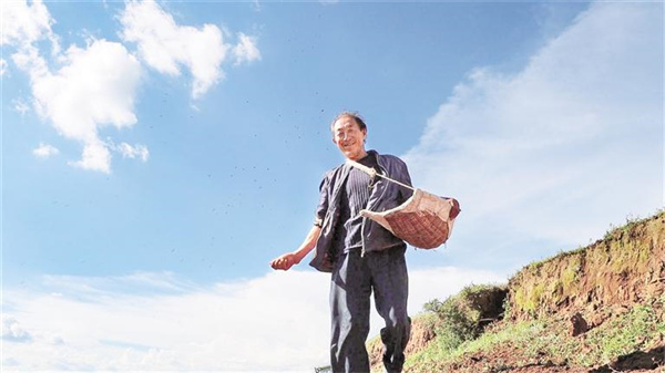 时光酝酿威宁苦荞醇香蜕变