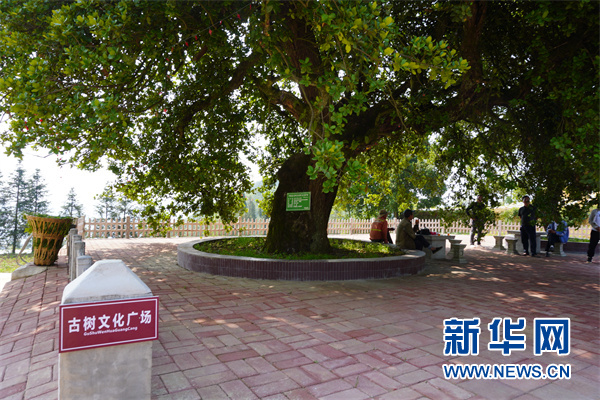 乡村振兴靠队伍_六盘水市乡村振兴战略实施意见_六盘水乡村振兴局