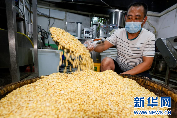 贵州正安：豆腐干生产忙