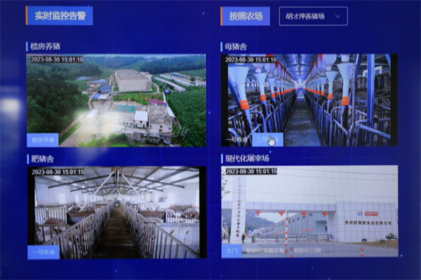 辽宁_农视网