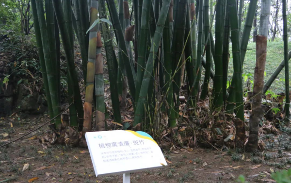 必赢app清廉景观树新风 廉旅融合促发展(图3)
