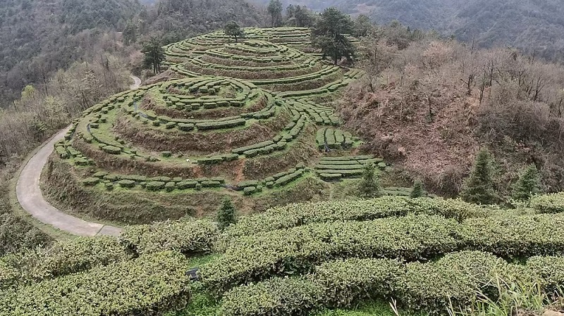 微信图片_20260428102750_1529_64.jpg