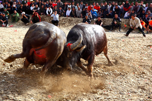 2014年贵州<em>台江</em>苗族<em>姊妹</em>节专题报道