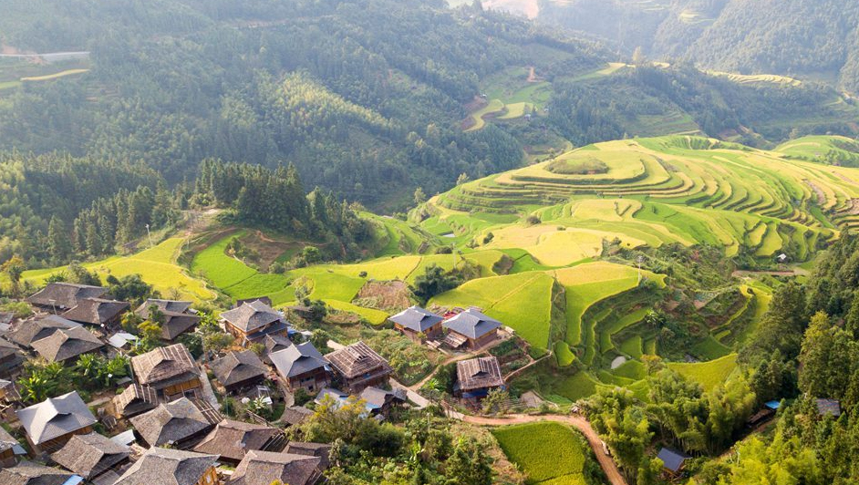 航拍贵州从江：金秋田园美如画