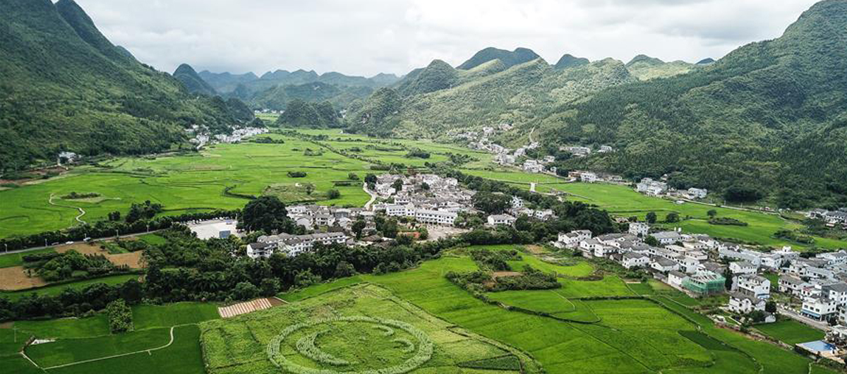 壯麗峰林迎客來