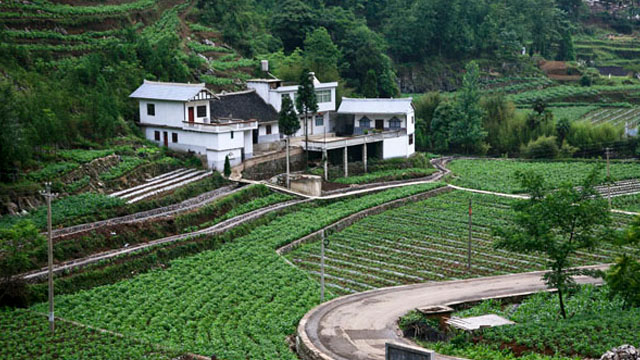 钟山区：念好“蔬菜经” 走上致富路