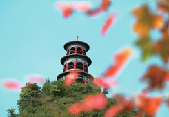 都匀：西山红叶扮靓“山水桥城”