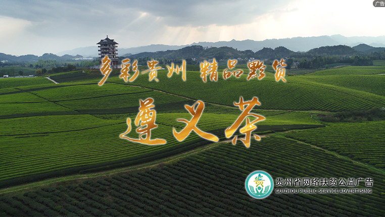 贵州省网络扶贫公益广告——贵州遵义茶