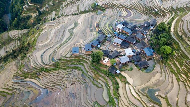 贵州从江：梯田如画