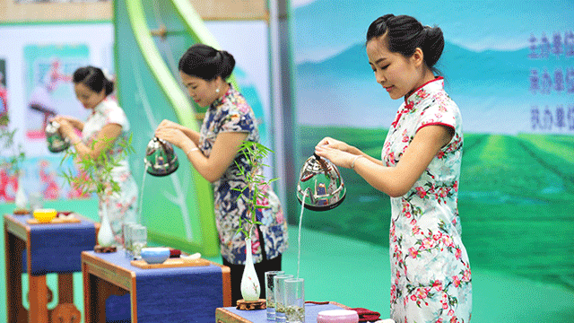 南明茶文化系列活動 聽説懂茶的人都關注了？