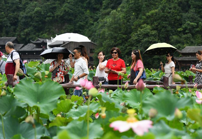 为&ldquo;荷&rdquo;而来