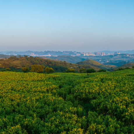 兴仁市鲤鱼村：依山傍水跃“龙门”