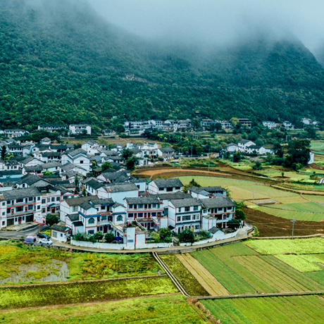 美麗鄉村處處是