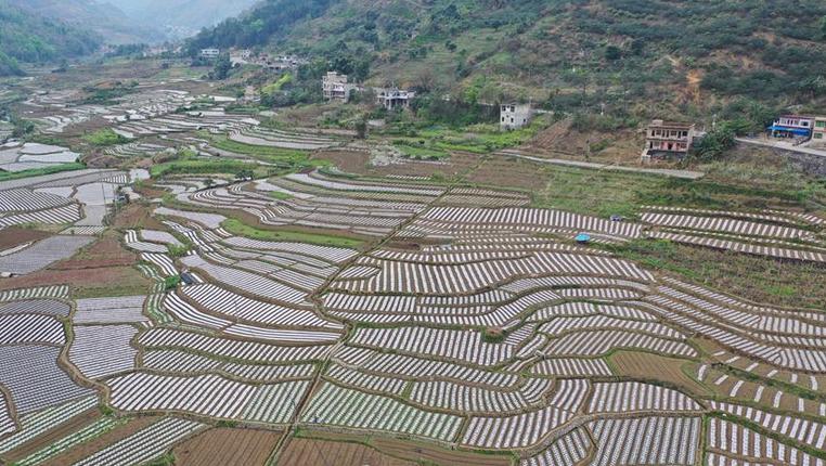 贵州：高原春耕图