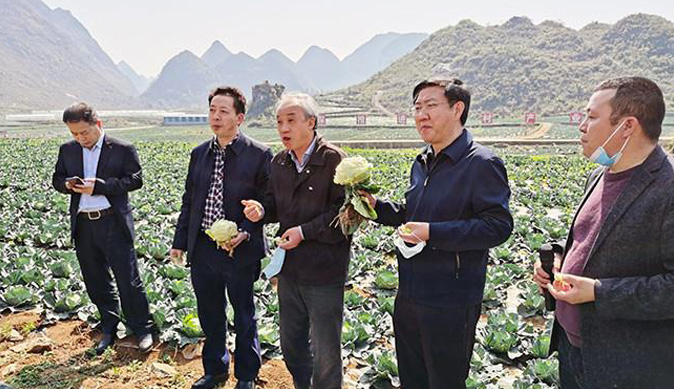 2020年安顺·紫云农产品春季产销对接会召开