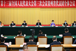 贵州代表团审议政府工作报告