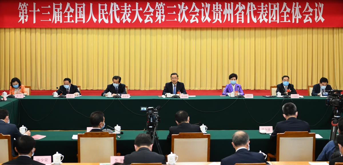 贵州代表团审议政府工作报告 孙志刚 谌贻琴参加审议