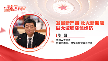 陈晏：发展新产业 壮大新动能 做大做强实体经济