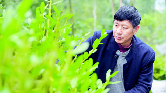 贵州省力促健康医药和中药材产业深度融合
