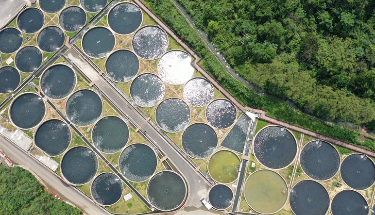 航拍贵州江口冷水鱼养殖基地 “冷资源”变“热经济”