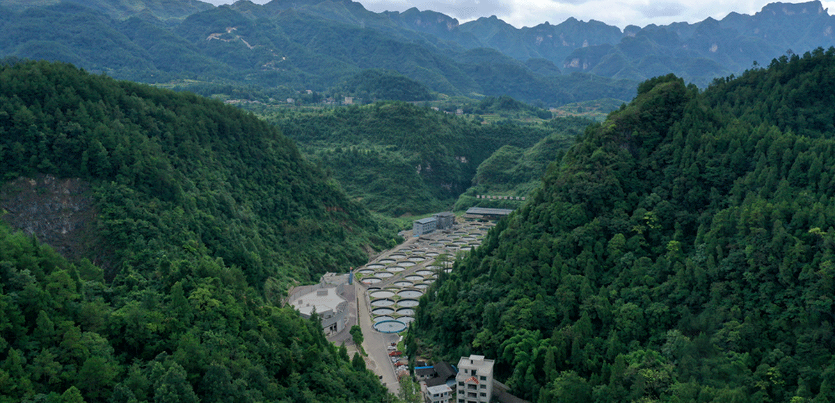 航拍贵州江口冷水鱼养殖基地 “冷资源”变“热经济”