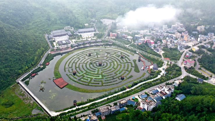 航拍盘州九峰莲池 水上迷宫景迷人