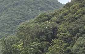 两河村：兴生态旅游 奔小康生活