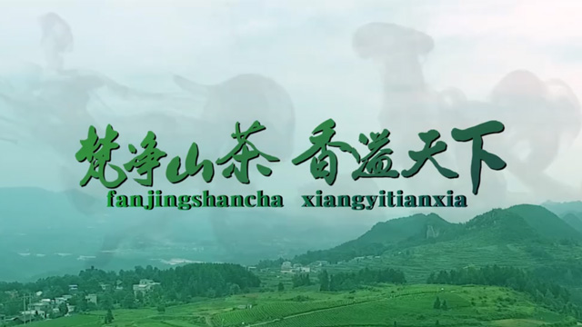 “干净黔茶·全球共享”贵州茶产业兰州推介会举行