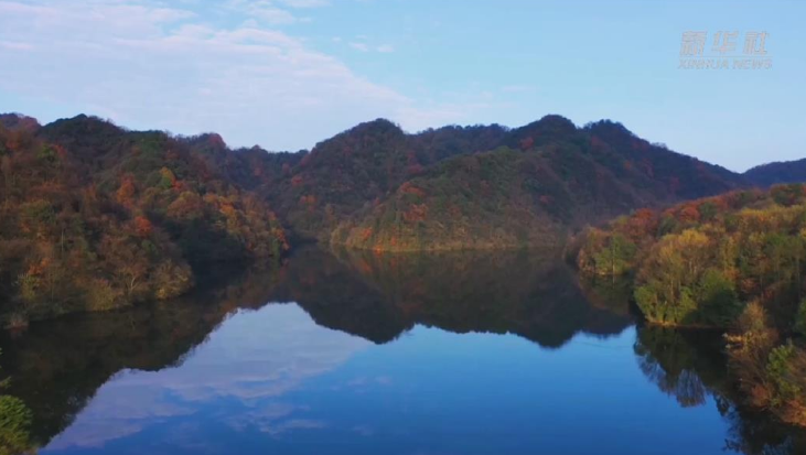 贵州宽阔水原始森林“色彩绽放” 美如仙境