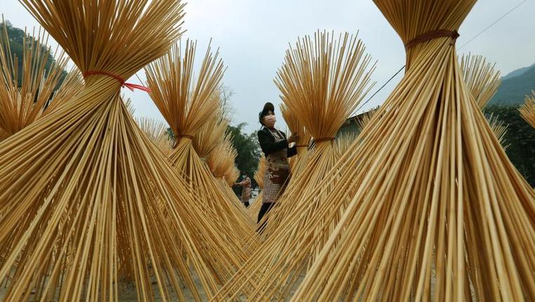 贵州赤水：竹产业助增收