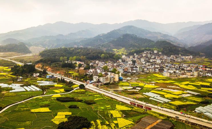 美丽乡村入画来