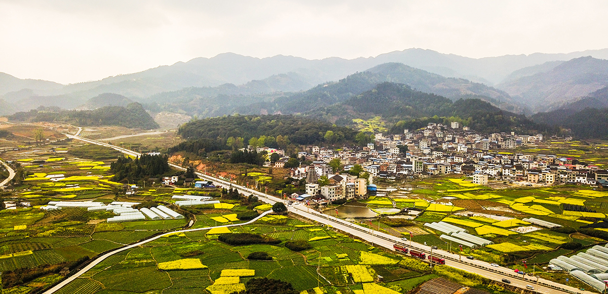 美丽乡村入画来