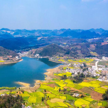 春到海子花满地
