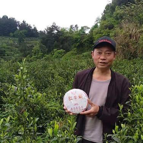 贵州石阡：散茶变茶饼，收入增三倍
