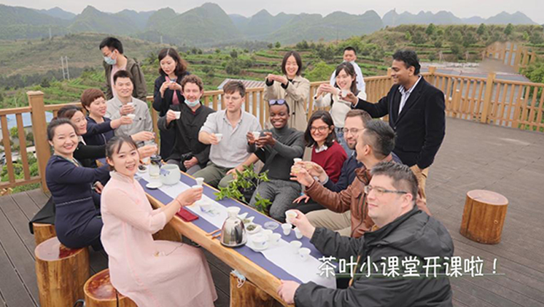 全球连线 | 国际青年中国行：茶叶小课堂开课啦