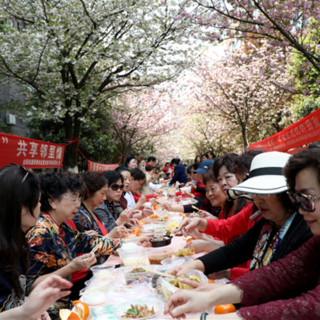 羡慕！观山湖区帝景社区樱花树下的“邻里情”