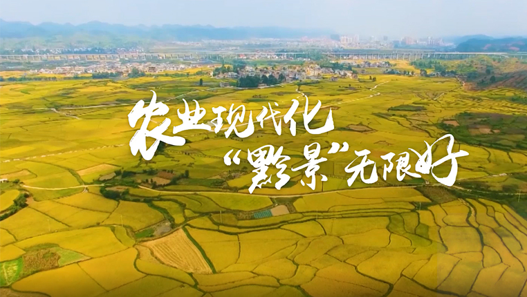 农业现代化"黔景"无限好—乡村振兴看贵州