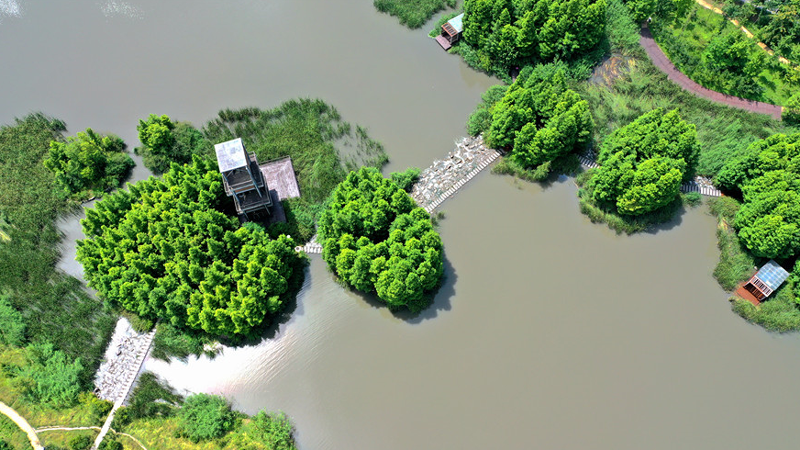 【在生态文明建设上出新绩】航拍贵州六盘水明湖国家湿地公园 高颜值的城市“绿肺”
