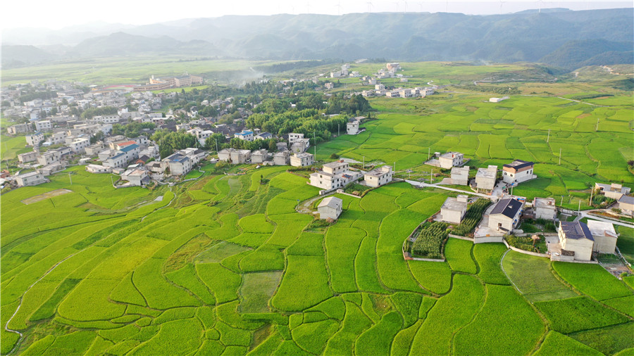 航拍贵州花溪高坡美丽田园