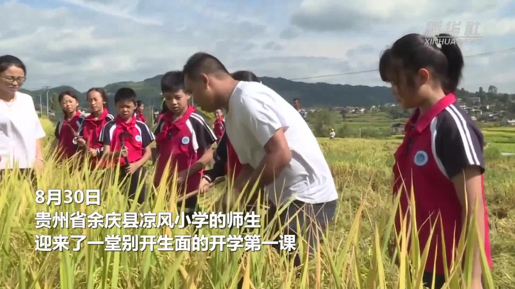 贵州余庆：稻田里的开学第一课