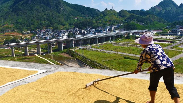 飞驰在千里沃野，看丰收中国