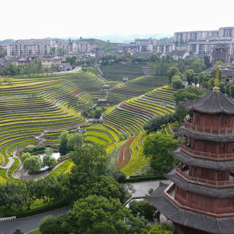 新华全媒+丨贵州毕节：在奢香古镇安居乐业