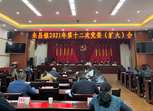 观山湖区朱昌镇等部门传达学习区党代会精神