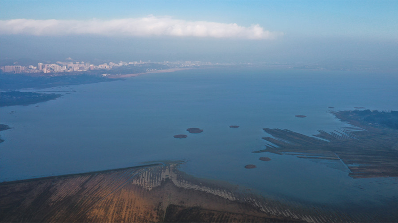 航拍冬日草海 高原湿地成候鸟乐园