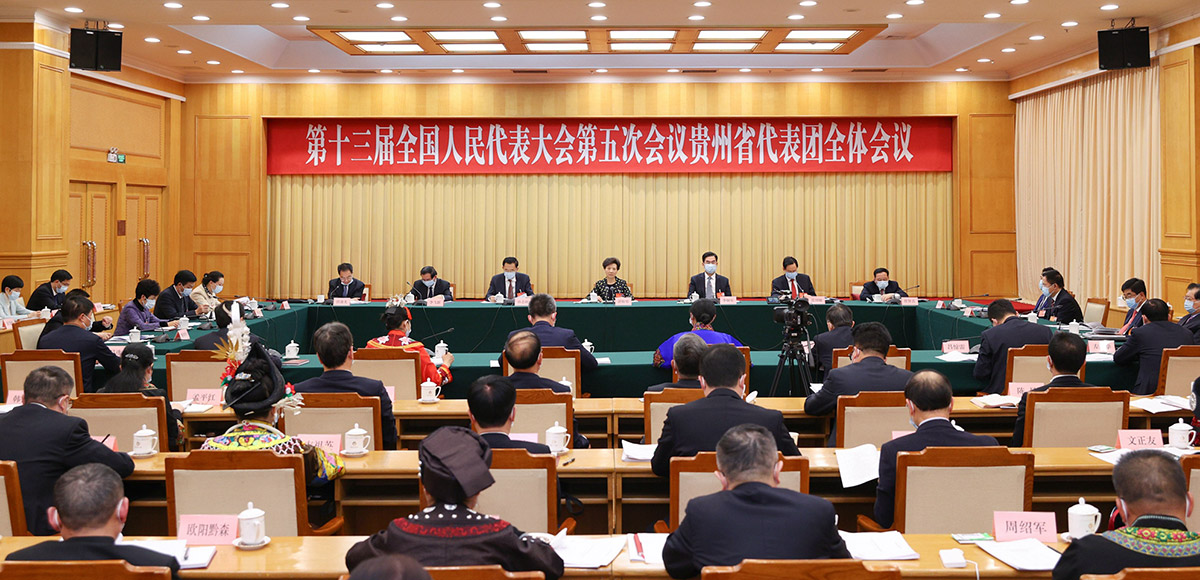 贵州代表团审议政府工作报告