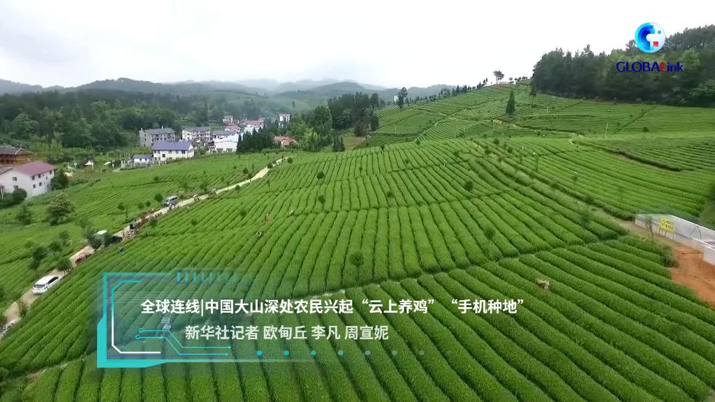 全球连线｜中国大山深处农民兴起“云上养鸡”“手机种地”