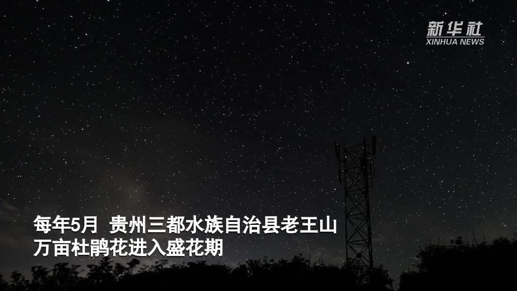 星海 云海 花海 贵州老王山的迷人昼夜