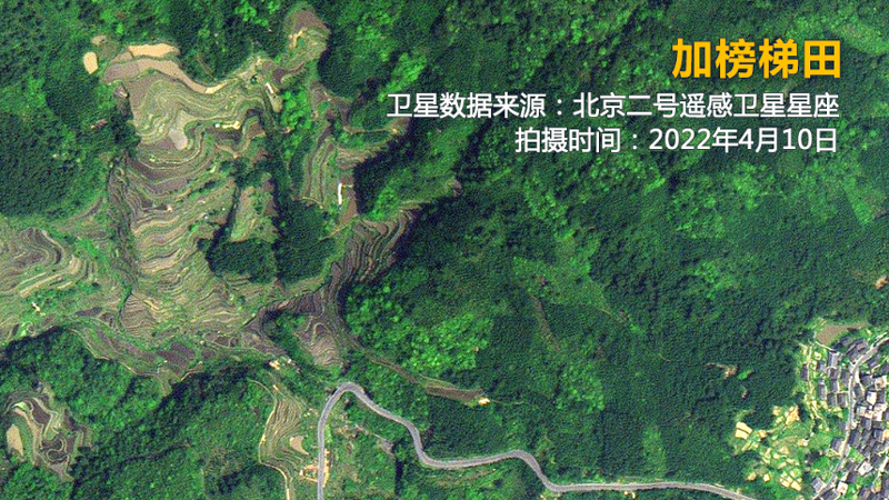 卫星“瞰”田丨梯田的实力超乎你的想象